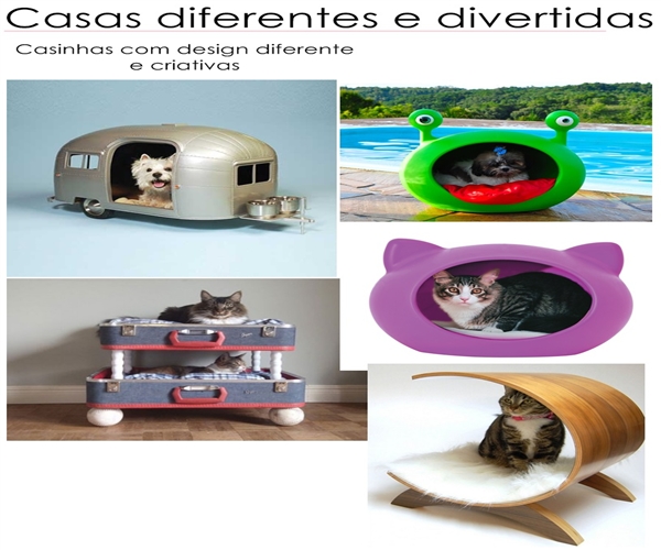 Casinha de Bichinho 7